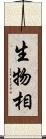 生物相 Scroll