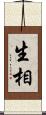 生相 Scroll