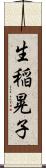 生稲晃子 Scroll
