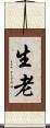 生老 Scroll
