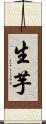 生芋 Scroll
