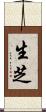 生芝 Scroll