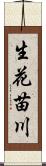 生花苗川 Scroll