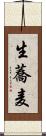 生蕎麦 Scroll