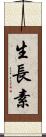 生長素 Scroll