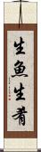 生魚 Scroll