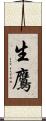 生鷹 Scroll