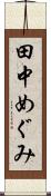 田中めぐみ Scroll