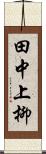 田中上柳 Scroll