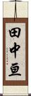田中亘 Scroll