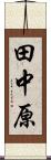 田中原 Scroll