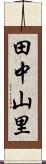 田中山里 Scroll