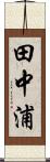 田中浦 Scroll