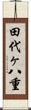 田代ヶ八重 Scroll