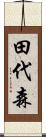 田代森 Scroll