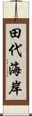 田代海岸 Scroll