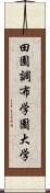 田園調布学園大学 Scroll