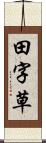 田字草 Scroll