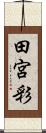 田宮彩 Scroll