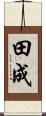 田成 Scroll
