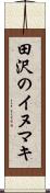 田沢のイヌマキ Scroll
