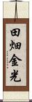 田畑金光 Scroll