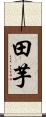 田芋 Scroll