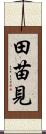 田苗見 Scroll