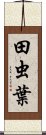 田虫葉 Scroll