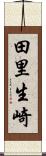 田里生崎 Scroll