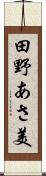 田野あさ美 Scroll
