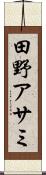 田野アサミ Scroll