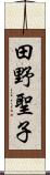 田野聖子 Scroll