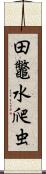 田鼈 Scroll