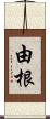 由根 Scroll