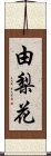 由梨花 Scroll