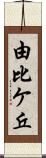 由比ケ丘 Scroll