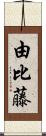 由比藤 Scroll