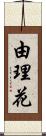 由理花 Scroll