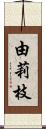 由莉枝 Scroll