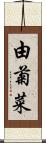 由菊菜 Scroll