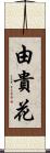 由貴花 Scroll