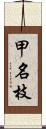 甲名枝 Scroll