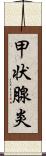 甲状腺炎 Scroll