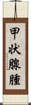 甲状腺腫 Scroll