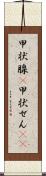 甲状腺(P) Scroll