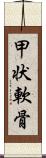 甲状軟骨 Scroll