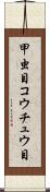 甲虫目 Scroll
