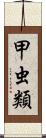 甲虫類 Scroll