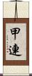 甲連 Scroll